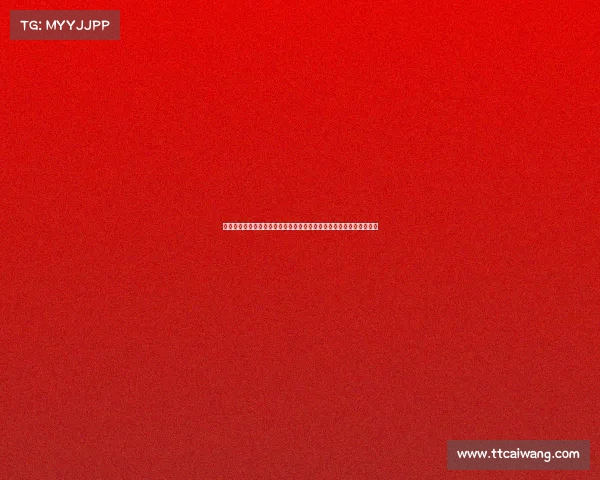 赛事总监与教练的黄金搭档：赛事战略规划与团队指挥艺术的完美融合